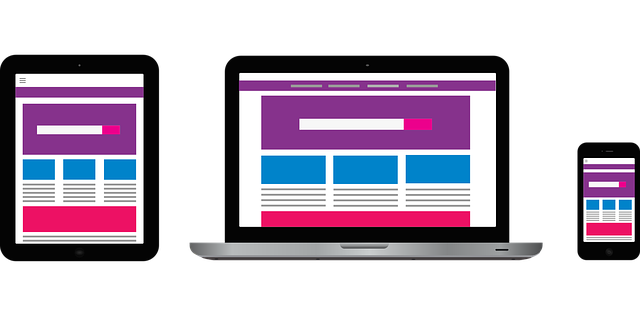 desarrollo web 2